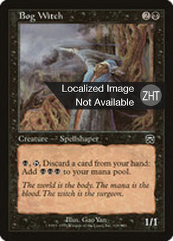 Bog Witch image