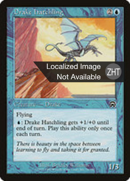 Drake Hatchling Full hd image