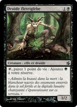 Druide flétriglèbe