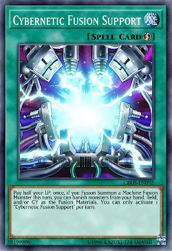 Cybernetic Fusion Support image