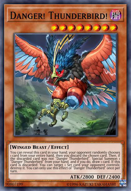 Card image in hand