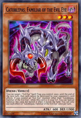 Card image in hand