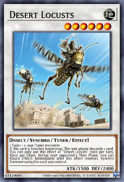 Desert Locusts image