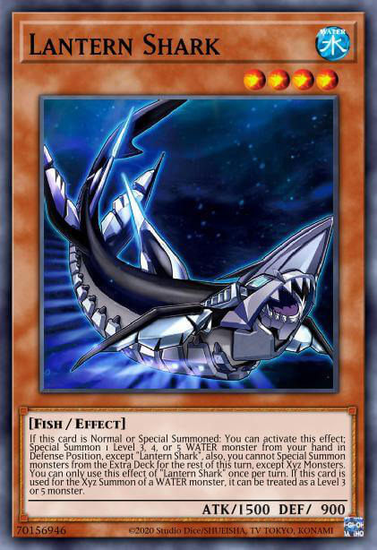Requin Lanterne image