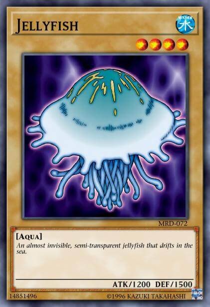 Jellyfish Crop image Wallpaper