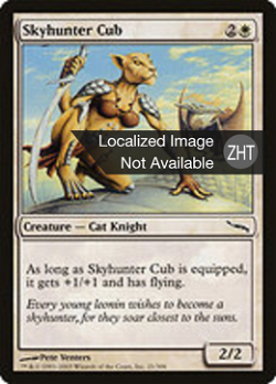 Skyhunter Cub image