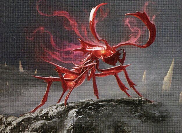 Agitator Ant Crop image Wallpaper
