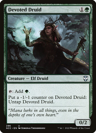 Devoted Druid image