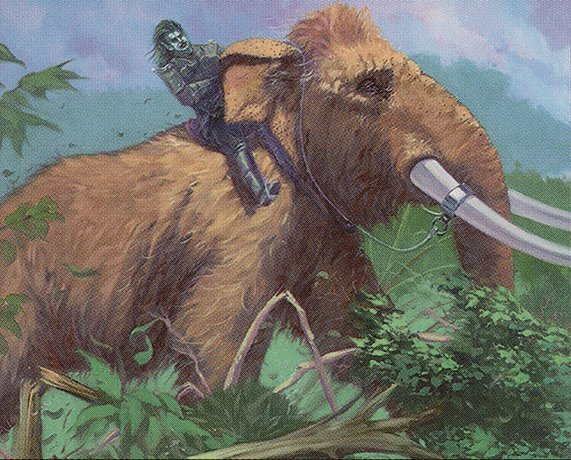 Wild Mammoth Crop image Wallpaper
