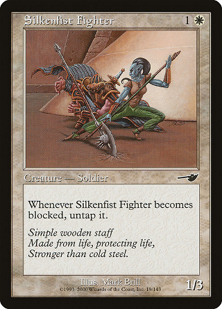 Silkenfist Fighter image