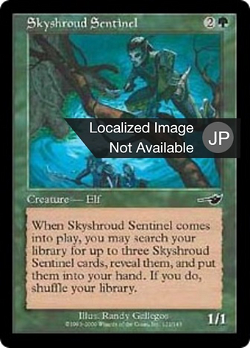 Skyshroud Sentinel image