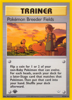 Pokémon Breeder Fields N3 62