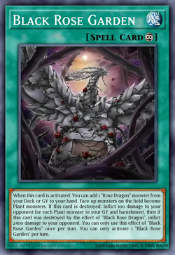 Black Rose Garden image