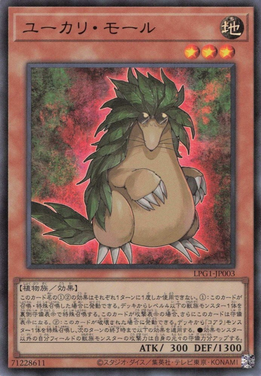 Eucalyptus Mole Full hd image