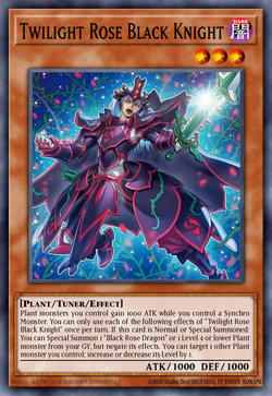 トワイライトローズブラックナイト image