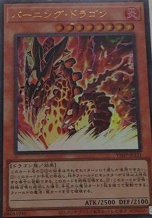 Burning Dragon Crop image Wallpaper
