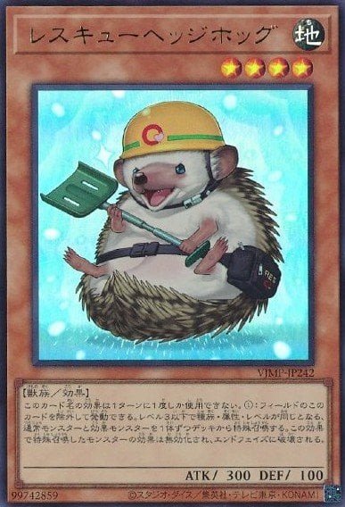 Rescue Hedgehog Crop image Wallpaper