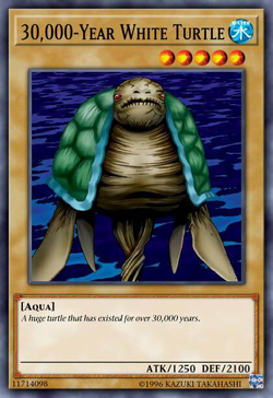 30,000-Year White Turtle image
