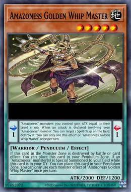 Card image in hand