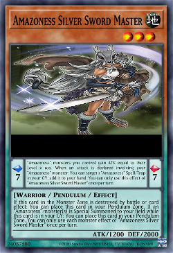 Amazoness Silver Sword Master - Мастер меча Амазонки Серебряного Меча image