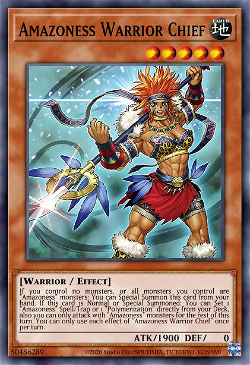 Amazoness War Chief image