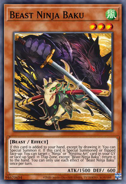 Card image in hand