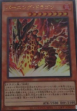 Burning Dragon image