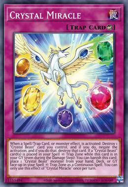 Card image in hand