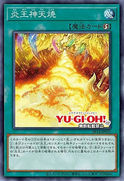 Fire King Sacred Immolation