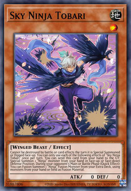 Card image in hand