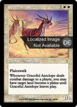 Anmutige Antilope image
