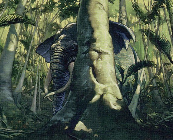 Elephant Ambush Crop image Wallpaper