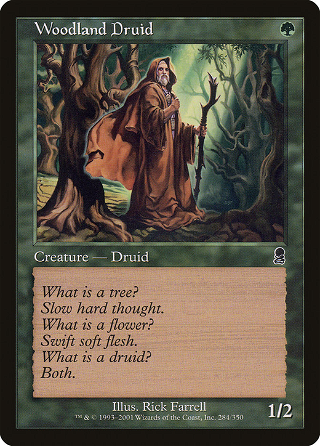 Woodland Druid image