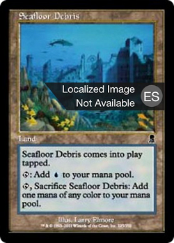 Seafloor Debris image