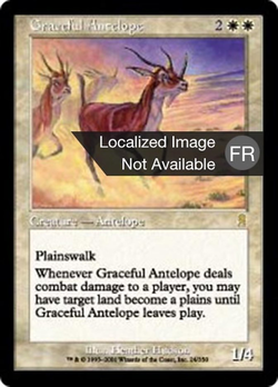 Antilope gracieuse