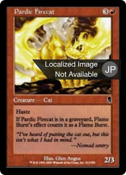 パーディック山の火猫 image
