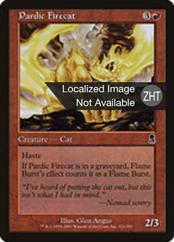 Pardic Firecat image