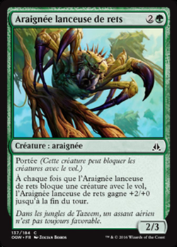 Araignée lanceuse de rets