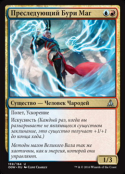 Stormchaser Mage image