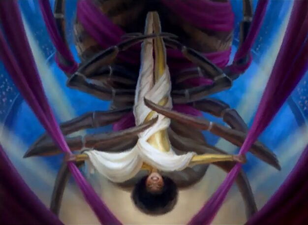 Skyward Spider Crop image Wallpaper