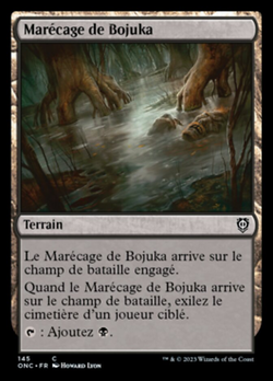 Marécage de Bojuka