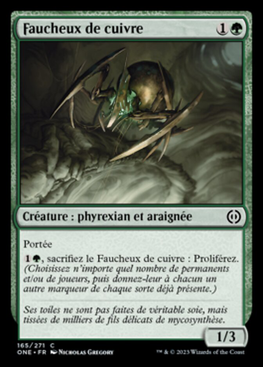 Copper Longlegs Full hd image