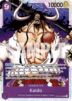 Kaido ST04-003 image