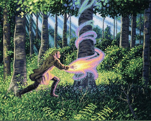 Elvish Guidance Crop image Wallpaper