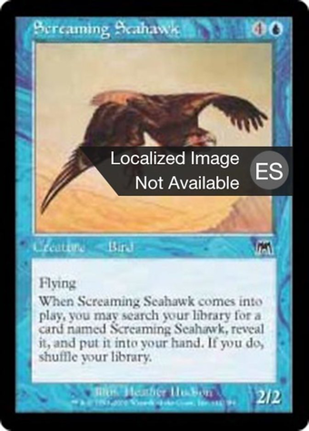 Screaming Seahawk Full hd image