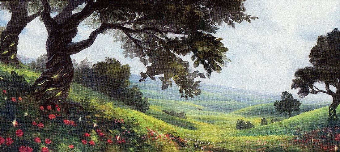 Fields of Summer Crop image Wallpaper