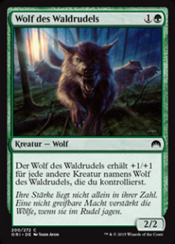 Wolf des Waldrudels