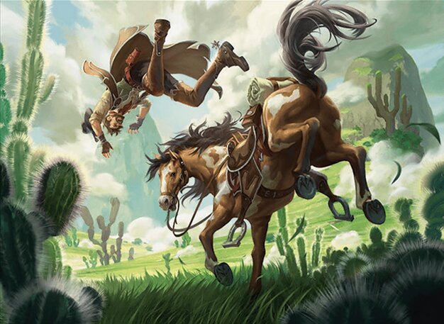 Throw from the Saddle Crop image Wallpaper