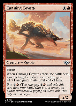 狡猾的coyote image