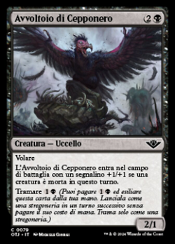 Avvoltoio di Cepponero image